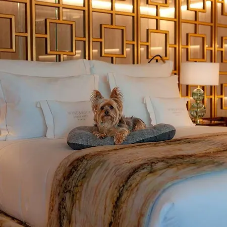 Otel Wine & Books Lisboa