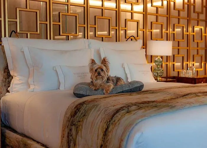 Ξενοδοχείο Wine & Books Lisboa